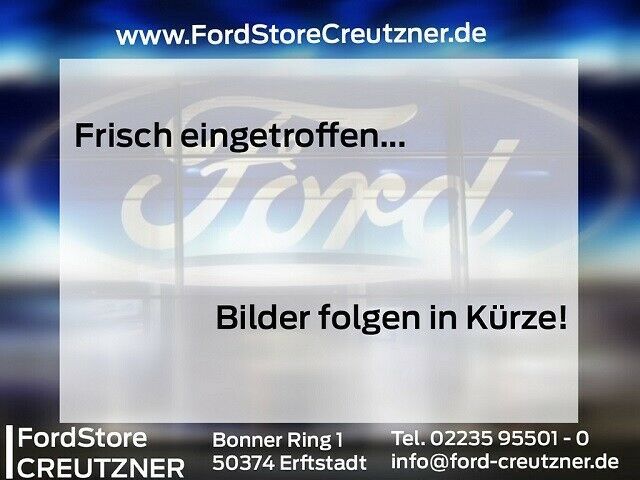 Ford Tourneo Custom 24.369 km 44.900 &euro; Erftstadt-Lechenich 50374